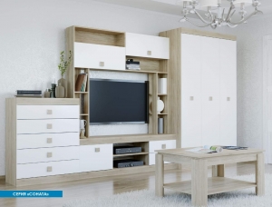 Модульная система "Соната" (гостиная) — купить по недорогой цене в Украине: Днепр | «Мир Мебели»