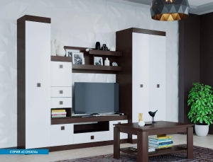 Модульная система "Соната" (гостиная) — купить по недорогой цене в Украине: Днепр | «Мир Мебели»