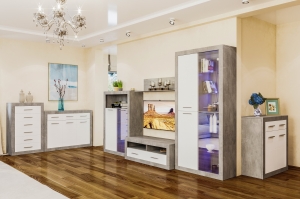 Модульная система "Омега" (гостинная 1) — купить по недорогой цене в Украине: Днепр | «Мир Мебели»