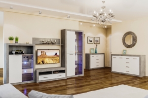 Модульная система "Омега" (гостинная 2) — купить по недорогой цене в Украине: Днепр | «Мир Мебели»