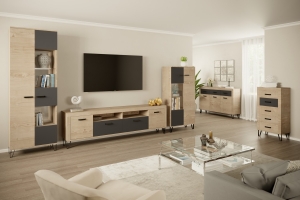 Модульная система "Рио" (гостинная 1) — купить по недорогой цене в Украине: Днепр | «Мир Мебели»
