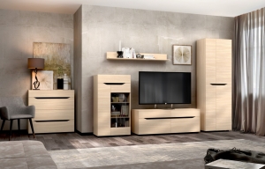 Модульная система "Аякс" (гостинная) — купить по недорогой цене в Украине: Днепр | «Мир Мебели»